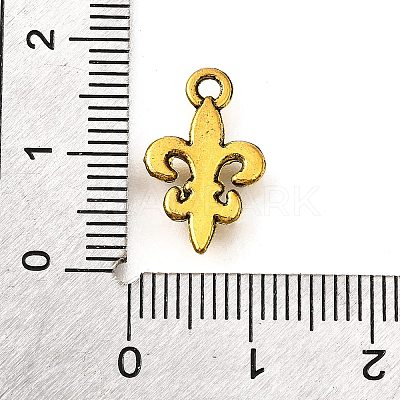 Tibetan Style Alloy Pendants TIBE-L008-15AG-1