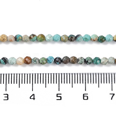 Natural African Turquoise(Jasper) Beads Strands G-N342-29A-1