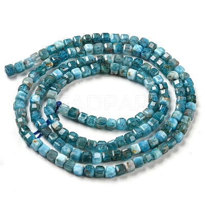 Natural Apatite Beads Strands G-P457-B01-14-1