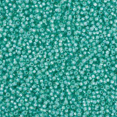 MIYUKI Round Rocailles Beads SEED-JP0009-RR0571-1
