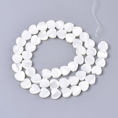 Natural Trochid Shell/Trochus Shell Bead Strands X-SSHEL-N034-67-1