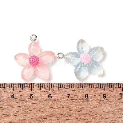 Transparent Resin Pendants RESI-Z043-04P-1