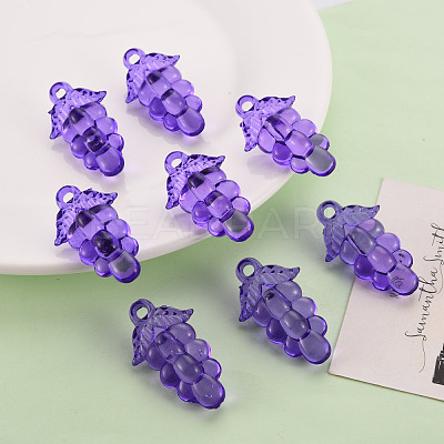 Autumn Theme Transparent Acrylic Beads TACR-S154-60B-936-1