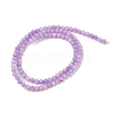 Natural Freshwater Shell Dyed Beads Strands SHEL-R100-12A-01-1