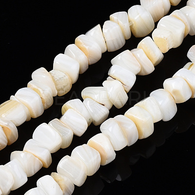 Natural Freshwater Shell Beads Strands SHEL-S278-042-1