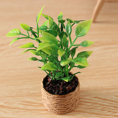 Platic Miniature Ornaments PW-WG84498-01-1