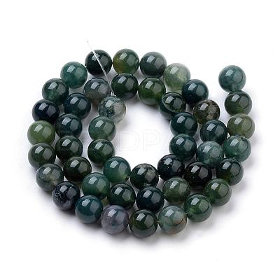 Natural Moss Agate Beads Strands G-I199-06-10mm-1