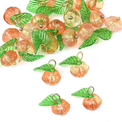 20Pcs 2 Colors Glass & Acrylic Pendants PALLOY-FS00051-1
