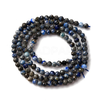Natural Lapis Lazuli Beads Strands G-L629-B01-3mm-02-1