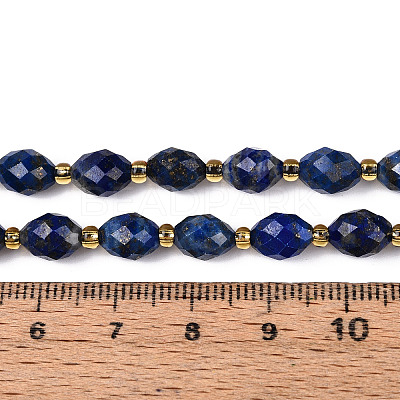 Natural Lapis Lazuli Beads Strands G-N342-35-8x6-10-1