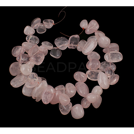 Natural Rose Quartz Beads Strands X-G505-034-1