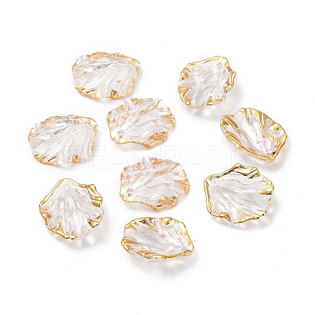 Transparent Acrylic Pendants TACR-D013-03-1