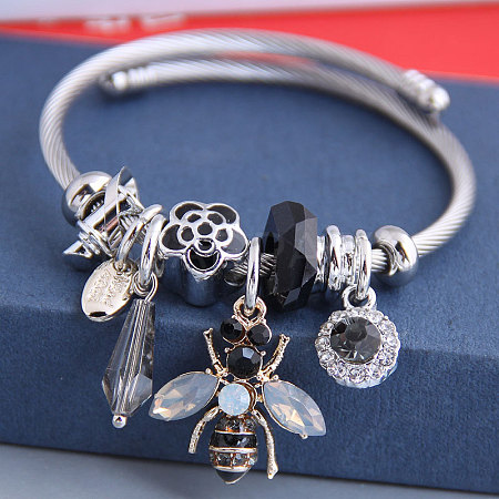 Adjustable Stainless Steel European Bangles FS-WGCF4A6-02-1