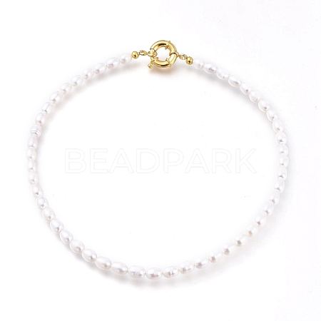 Natural Cultured Freshwater Pearl Beaded Necklaces NJEW-JN03100-1