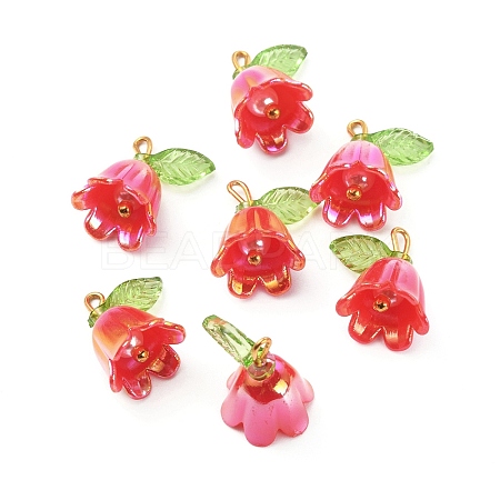 Opaque Resin Pendants CRES-CJC0009-05G-08-1