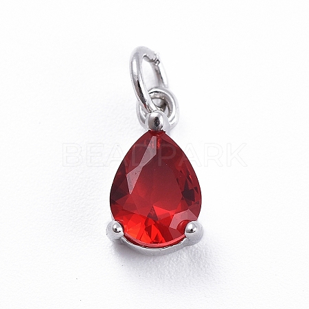 Brass Micro Pave Cubic Zirconia Pendants ZIRC-E164-64P-A-1