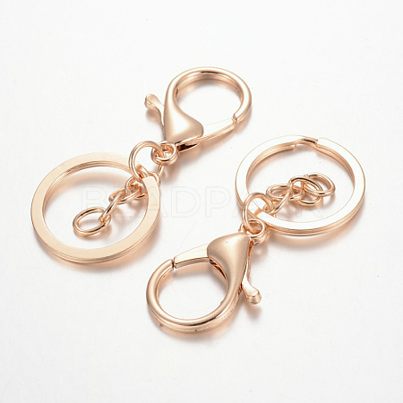 Iron Keychain Clasp Findings PALLOY-J682-03KCG-1