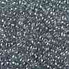 TOHO Round Seed Beads SEED-TR08-0112-2
