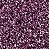 MIYUKI Delica Beads X-SEED-J020-DB1848-3