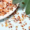 Natural Carnelian Chip Beads X-G-O103-18-4