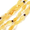 Natural Amber Beads Strands G-K387-C02-01-2