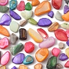 50G Dyed Natural Freshwater Shell Chip Beads BSHE-YW0001-04-3