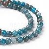 Natural Apatite Beads Strands G-L554-01-4mm-2