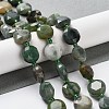 Natural Gemstone Beads Strands G-NH0004-012-2