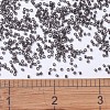 MIYUKI Delica Beads SEED-X0054-DB1319-4