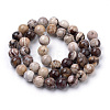 Natural Zebra Jasper Beads Strands X-G-S259-30-6mm-2