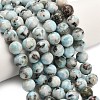 Natural Larimar Beads Strands G-L642-B19-10mm-1
