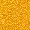 TOHO Round Seed Beads X-SEED-TR11-0974-2