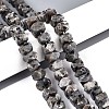 Natural Syenite Beads Strands G-D091-A32-1