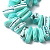 Dyed Natural Trochus Shell Beads Strands X-SSHEL-C013-09M-3