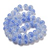Handmade Lampwork Beads Strands LAMP-L079-05D-2