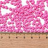 Baking Paint Glass Seed Beads SEED-B001-02A-01-4