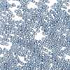 Glass Seed Beads X1-SEED-H002-E-A1415-3