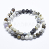 Natural White African Opal Beads Strands G-E472-02-10mm-2