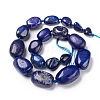Natural Lapis Lazuli Beads Strands G-I194-27-3