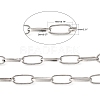 Iron Paperclip Chains CH-R026-19x8mm-P-5