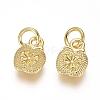Electroplated Alloy Charms PALLOY-G267-12G-2