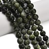Natural Chinese Jade Southern Jade Beads Strands G-P626-10mm-01A-1