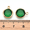 K9 Glass Charms GLAA-T023-37A-06-3