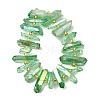 Electroplated Natural Quartz Crystal Beads Strands G-F800-F16-2
