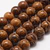 Natural Elephant Skin Jasper/Miriam Stone/Calligraphy Stone Beads Strands G-F512-10mm-1
