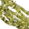 Natural Jade Chip Beads Strands X-G-B160-B02-4
