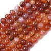 Natural Fire Crackle Agate Beads Strands X-G-G212-8mm-10-5