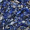 Natural Lapis Lazuli Chip Beads G-L453-05-1