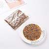 12/0 Round Glass Seed Beads SEED-US0003-2mm-TR-5