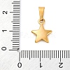 304 Stainless Steel Charms STAS-I127-067G-3
